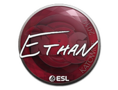 Наклейка | Ethan | Катовице-2019