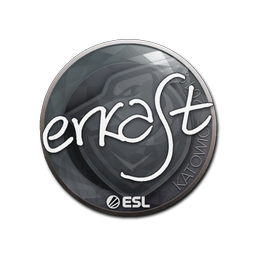 erkaSt | Катовице-2019