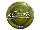 Sticker | felps | Katowice 2019