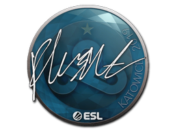 Sticker | flusha | Katowice 2019