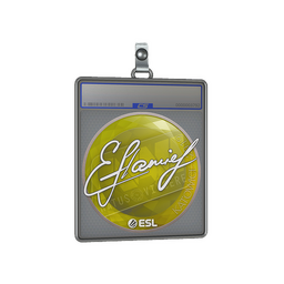 Sticker Slab | flamie | Katowice 2019