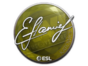 Sticker | flamie | Katowice 2019