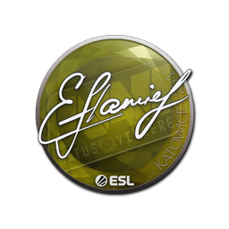 flamie | Катовице-2019