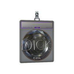 Sticker Slab | DickStacy (Foil) | Katowice 2019