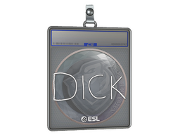 Sticker Slab | DickStacy | Katowice 2019