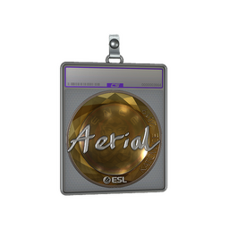 Sticker Slab | Aerial (Foil) | Katowice 2019