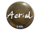 Sticker | Aerial | Katowice 2019