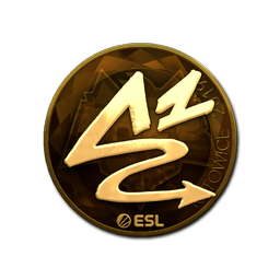 ANGE1 (Gold) | Katowice 2019