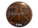 Sticker | Brollan | Katowice 2019