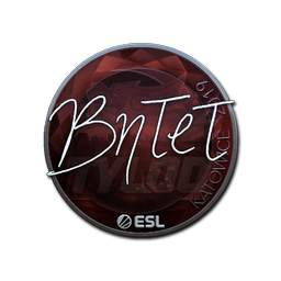 BnTeT (металлическая) | Катовице-2019