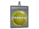 Sticker Slab | coldzera | Katowice 2019