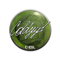 COLDYY1 | Катовице-2019