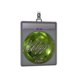 Sticker Slab | COLDYY1 (Foil) | Katowice 2019