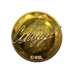 COLDYY1 (золотая) | Катовице-2019