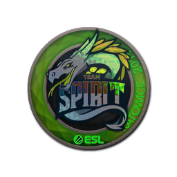 Team Spirit (голографическая) | Катовице-2019