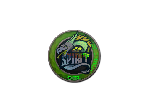 Sticker | Team Spirit (holo) | Katowice 2019