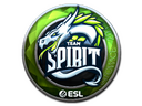 Sticker | Team Spirit (Foil) | Katowice 2019