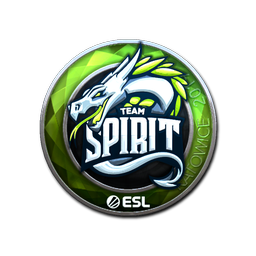Team Spirit (металлическая) | Катовице-2019