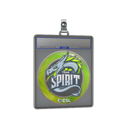 Sticker Slab | Team Spirit | Katowice 2019