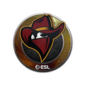 Sticker | Renegades | Katowice 2019