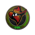 Sticker | Renegades (Holo) | Katowice 2019
