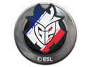 Sticker | G2 Esports | Katowice 2019