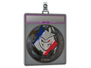 Sticker Slab | G2 Esports (Foil) | Katowice 2019