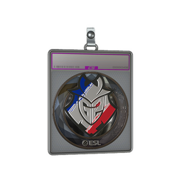 Sticker Slab | G2 Esports (Foil) | Katowice 2019