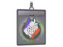 Sticker Slab | G2 Esports (Holo) | Katowice 2019