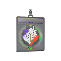 Sticker Slab | G2 Esports (Holo) | Katowice 2019