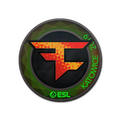 Sticker | FaZe Clan (Holo) | Katowice 2019