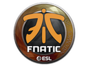 Sticker | Fnatic | Katowice 2019