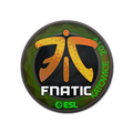 Sticker | Fnatic (Holo) | Katowice 2019