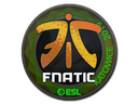 Sticker | Fnatic (Holo) | Katowice 2019