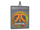 Sticker Slab | Fnatic (Holo) | Katowice 2019