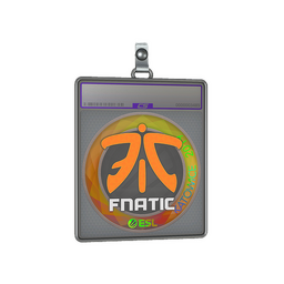 Sticker Slab | Fnatic (Holo) | Katowice 2019