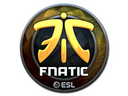Sticker | Fnatic (Foil) | Katowice 2019