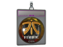 Sticker Slab | Fnatic (Foil) | Katowice 2019
