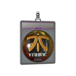Sticker Slab | Fnatic (Foil) | Katowice 2019