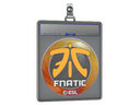 Sticker Slab | Fnatic | Katowice 2019
