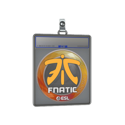 Sticker Slab | Fnatic | Katowice 2019