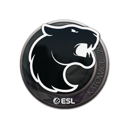 FURIA | Катовице-2019
