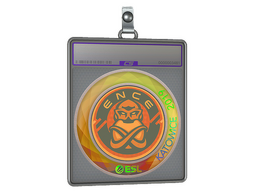 Sticker Slab | ENCE (Holo) | Katowice 2019