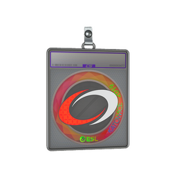 Sticker Slab | compLexity Gaming (Holo) | Katowice 2019