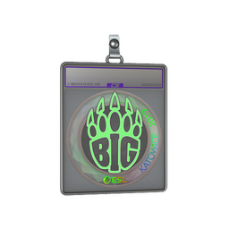 Sticker Slab | BIG (Holo) | Katowice 2019