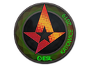 Sticker | Astralis (Holo) | Katowice 2019