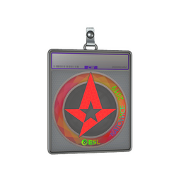 Sticker Slab | Astralis (Holo) | Katowice 2019