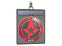 Sticker Slab | Astralis | Katowice 2019