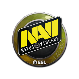 Natus Vincere | Катовице-2019