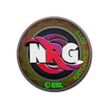Sticker | NRG (Holo) | Katowice 2019